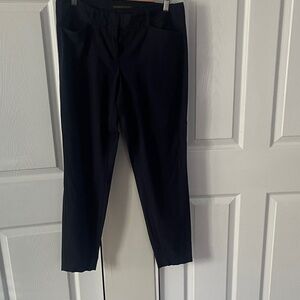 The Limited Exact Stretch Navy Dress Pants